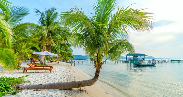 Eine tropische Strandszene mit Palmen und Liegestühlen.