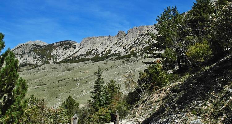 Sicilia: senderismo por las Montañas Madonie - Excursión autoguiada - Traventuria 4
