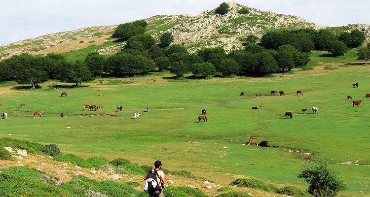 Sicilia: senderismo por las Montañas Madonie - Excursión autoguiada - Traventuria 7