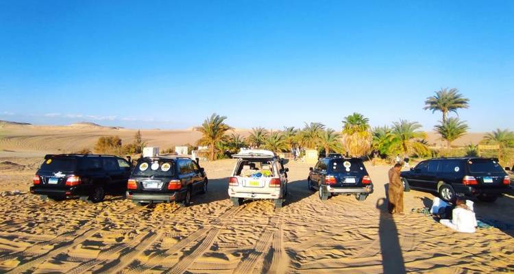Rij SUV's geparkeerd in de woestijn met een groep mensen in de buurt.