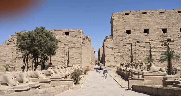 Een oud tempelpad met palmbomen en beelden langs de route, gedeeltelijk belemmerd door vinger.