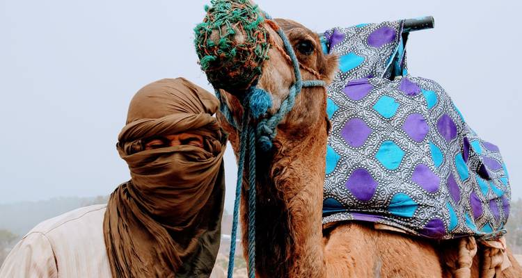 Personne avec un chameau dans un décor désertique