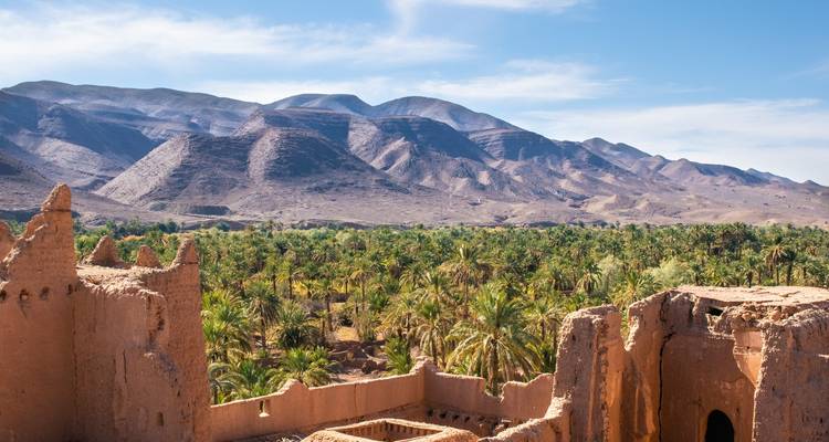 Oasis avec palmiers et montagnes en arrière-plan