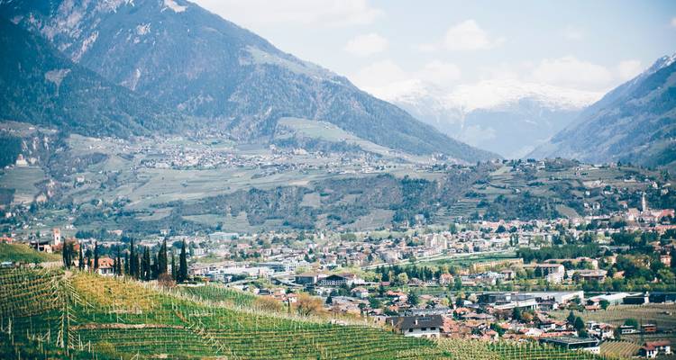 Cityscape with vineyards and snowy mountains in the background.
