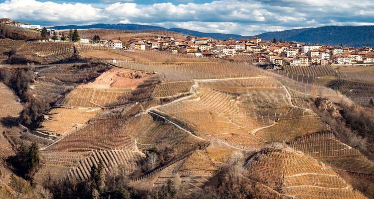 Terraced vineyards on hills with a village at the top.