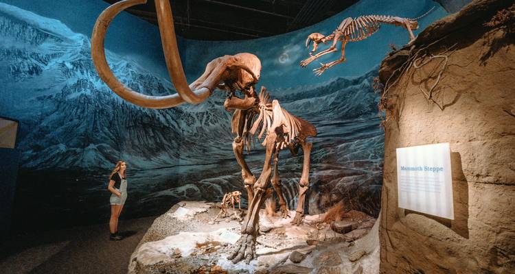 7-Day Alberta Rockies & Dinosaur Valley Adventure Tour - Calgary Tours 3