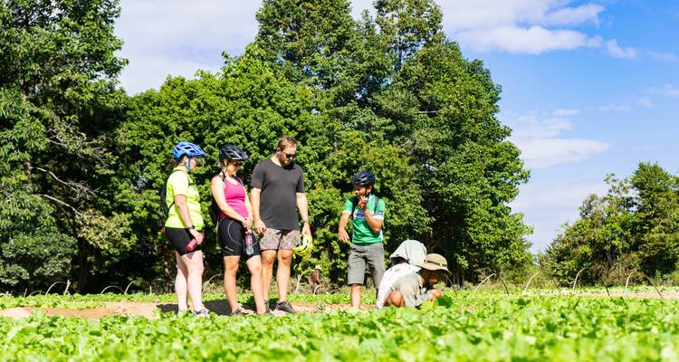 Cycle Cambodia: Angkor to the Beaches - Siem Reaper Travel 3