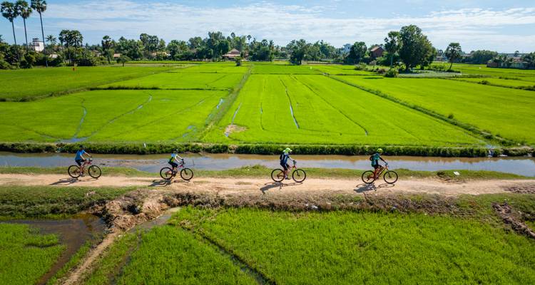 Des cyclistes roulant le long d'un sentier de terre à travers des rizières.