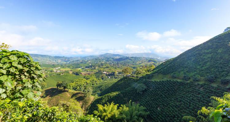 Servicio privado I gran circuito de Colombia: Bogotá, Eje Cafetero, Medellín, Tayrona y Cartagena - vuelos nacionales incluidos - The Colombian Trip 2