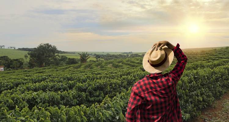 Servicio privado I gran circuito de Colombia: Bogotá, Eje Cafetero, Medellín, Tayrona y Cartagena - vuelos nacionales incluidos - The Colombian Trip 9