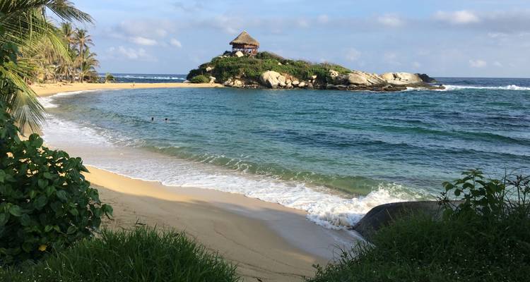 Servicio privado I gran circuito de Colombia: Bogotá, Eje Cafetero, Medellín, Tayrona y Cartagena - vuelos nacionales incluidos - The Colombian Trip 1