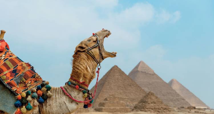 Lo más destacado en el Cairo y Alejandría en 4 días - Sun Pyramid Tours 4