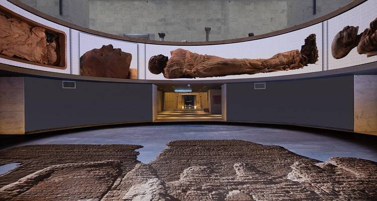 Vue intérieure d'un musée moderne exposant des momies et des artefacts.