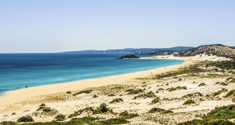 Sandy beach with clear blue sea under a clear sky