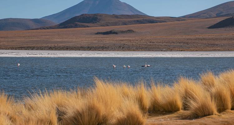 Carnaval de Oruro desde San Pedro de Atacama y Salar de Uyuni - EUROLATINO Tour Operators 8