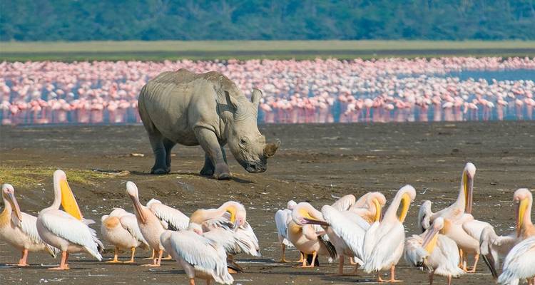 Premium Kenya et; Southern Africa Highlights - Intrepid Premium 9