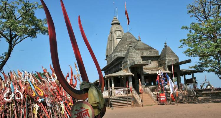 Rutas del tigre: exploración de la India central desde Delhi/Mumbai - Agora Voyages OPC Pvt Ltd 4