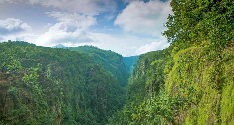 Rutas del tigre: exploración de la India central desde Delhi/Mumbai - Agora Voyages OPC Pvt Ltd 6