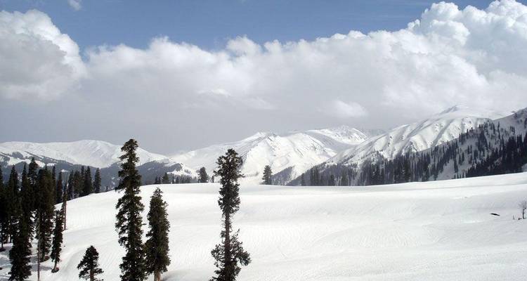 Schneebedeckte Berge mit immergrünen Bäumen unter einem klaren Himmel.