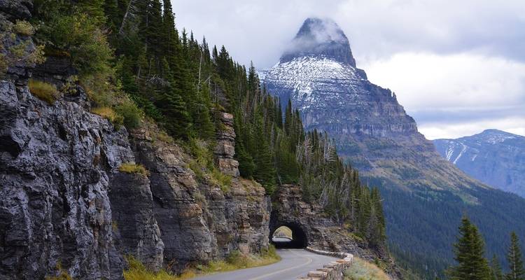 USA – Montana Glacier National Park Sun Road Llama Trek - Bucket List Group Travel LLC 4