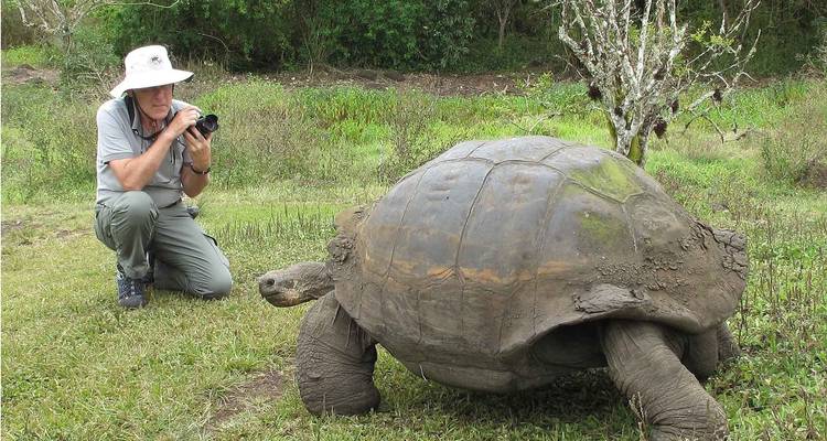 Homme photographiant une grande tortue sur l'herbe.