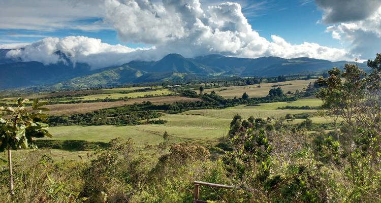 Experiencia en coche por Ecuador: los Andes, la selva amazónica y la costa del pacífico - Signature DMC 6