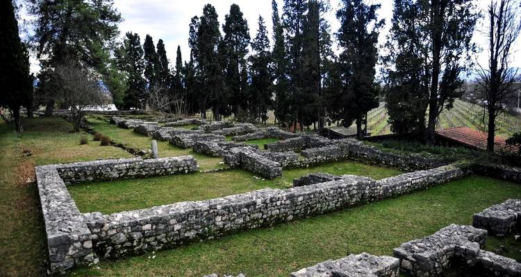 Ruïnes van een historische locatie met gras en bomen.