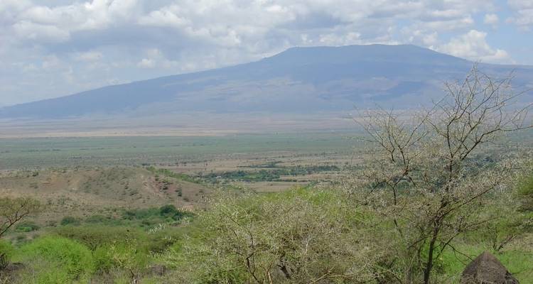 8 DAYS TANZANIA ADVENTURE WALKING SAFARIS & CULTURAL EXPERINCE - Wild Root Safaris & Adventures 2