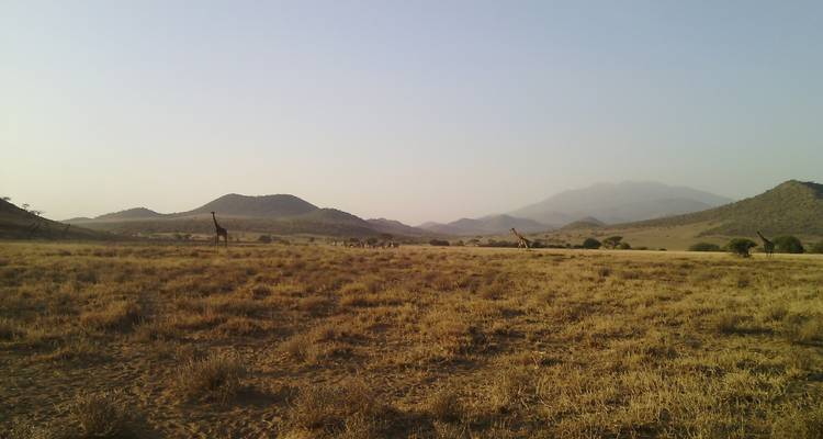 8 DAYS TANZANIA ADVENTURE WALKING SAFARIS & CULTURAL EXPERINCE - Wild Root Safaris & Adventures 6