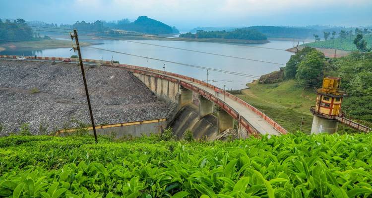 Kerala's Tea Estates, Backwaters, and Sun-kissed Beaches - Agora Voyages OPC Pvt Ltd 4