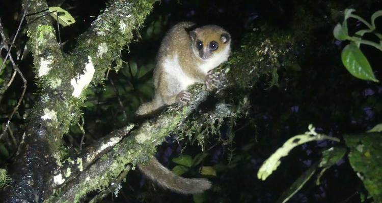 Madagascar Grandes paquetes turísticos - ideal para mayores de 50 años - HT Agency Tours 6