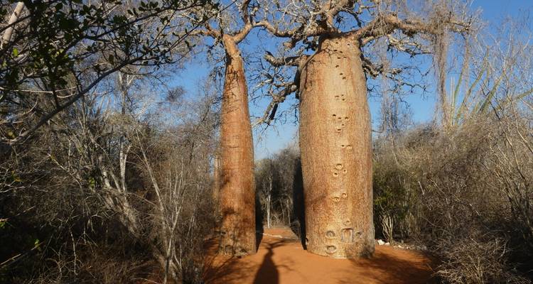 Madagascar Grandes paquetes turísticos - ideal para mayores de 50 años - HT Agency Tours 8