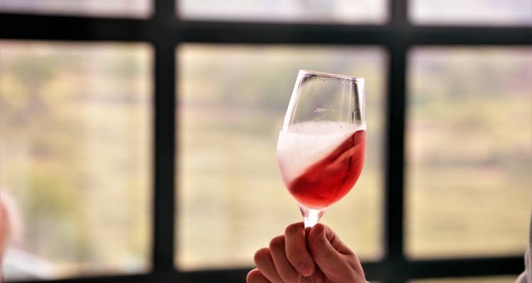 A glass of red wine held up in front of a window.