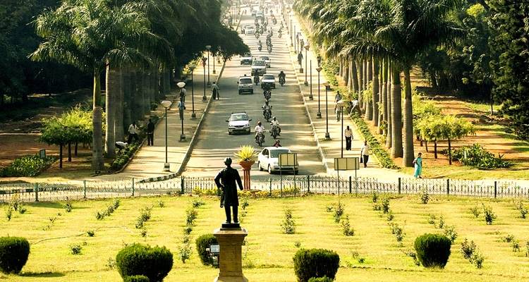 Palmbomen-omzoomde laan met een standbeeld dat uitkijkt over de weg.