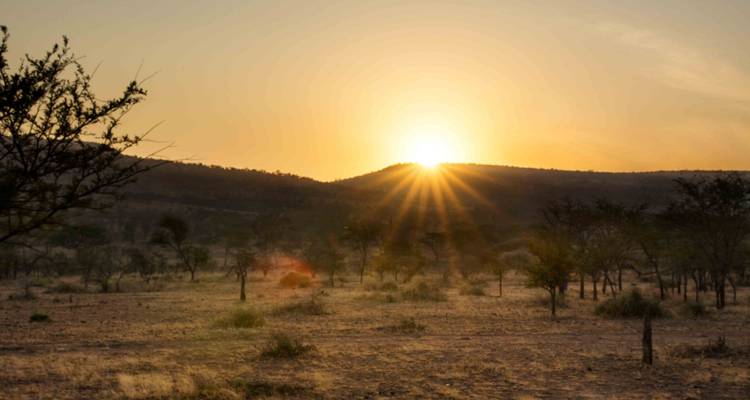 10 jours de migration des grands gnous dans le nord de la Tanzanie. - Meru Slopes Tours and Safaris ltd 8