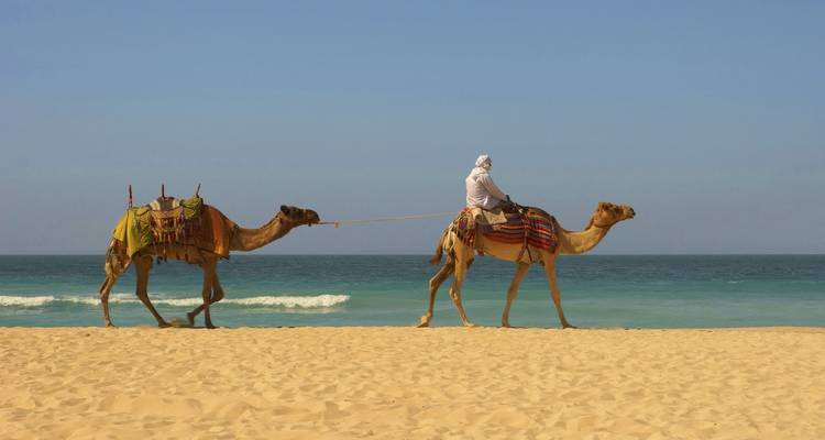 Magnifique art mudéjar
Des plaines andalouses aux villes impériales du Maroc - forfait port à port - CroisiEurope River Cruises 1