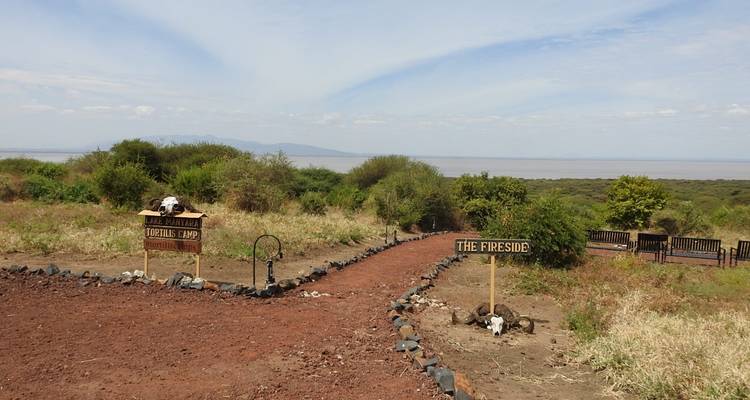 4-Day Mid-Range Tour Tarangire, Serengeti and Ngorongoro - Meru Slopes Tours and Safaris ltd 8