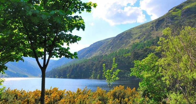 Excursion privée d'une journée à Wicklow et Glendalough. - Hilltoptreks 4