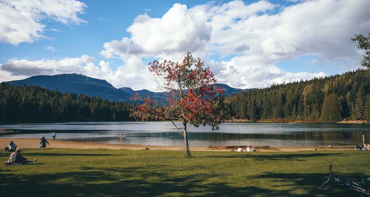 Calm lakeside park with people relaxing on grass and a lone tree bearing red berries against forested mountains.
