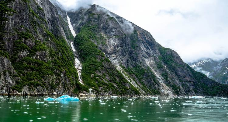 Steep fjord walls draped in mist with floating icebergs on emerald water in remote Alaska.