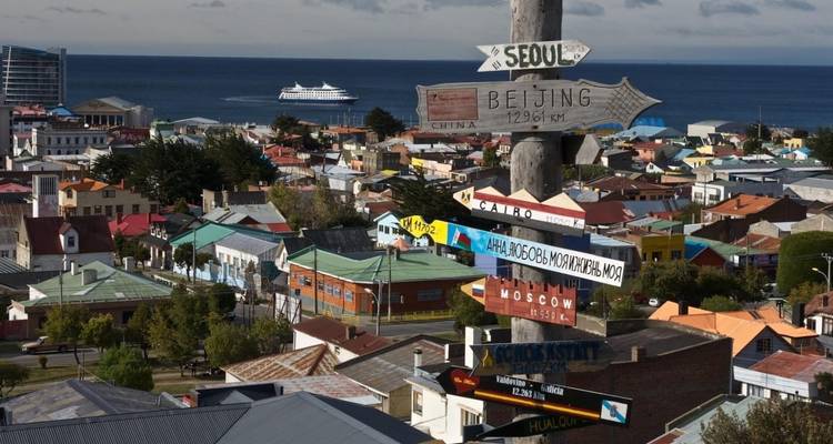 7 días de visita a la colonia de pingüinos rey en tierra del fuego y visita al Parque Nacional Torres del Paine. - Signature DMC 1