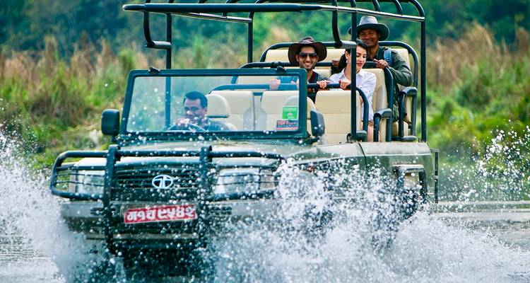 Tourists cheering in a safari jeep as it splashes through water.