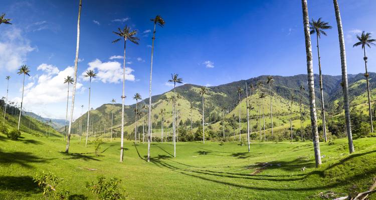 Costa Rica Drive & Relax - Miller Reisen 7
