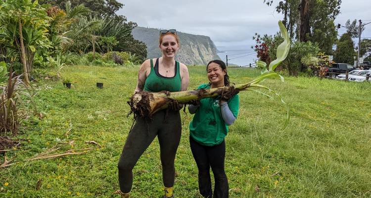 Hawai'i Big Island : Conservation de l'environnement, préservation de la culture et plongée en apnée - GIVE Volunteers 3