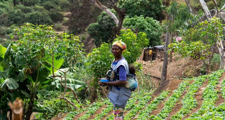 Cape Verde: Best trails of Santiago and Fogo islands - BuCountry Tours 3