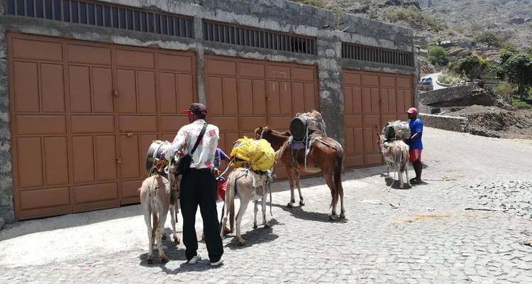 Cape Verde: Best trails of Santiago and Fogo islands - BuCountry Tours 4