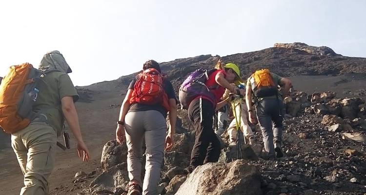 Best of Fogo Island: Hiking & Discovery, 4 Days 3 Nights - BuCountry Tours 3
