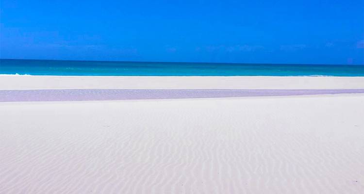 Ultimate Boa Vista Adventure Tour - 7 Days 6 Nights - BuCountry Tours 7