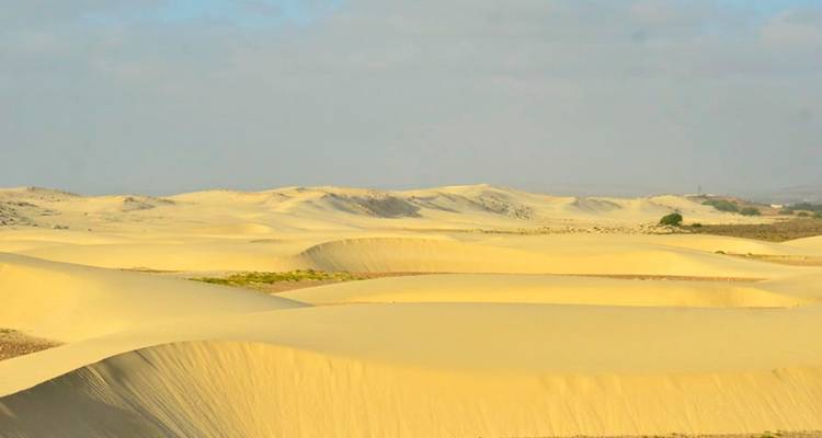 Ultimate Boa Vista Adventure Tour - 7 Days 6 Nights - BuCountry Tours 8