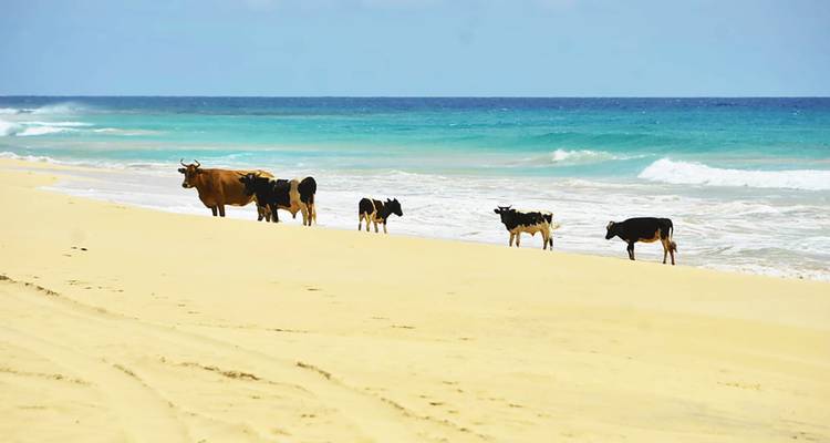 Ultimate Boa Vista Adventure Tour - 7 Days 6 Nights - BuCountry Tours 9